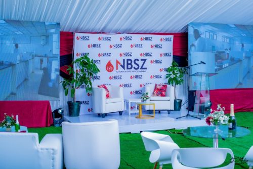 CEO AFRICA ROUND TABLE 2025